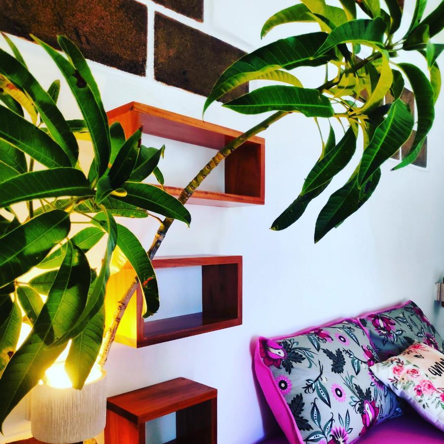 Anacardium Otel Canoa Quebrada Dış mekan fotoğraf