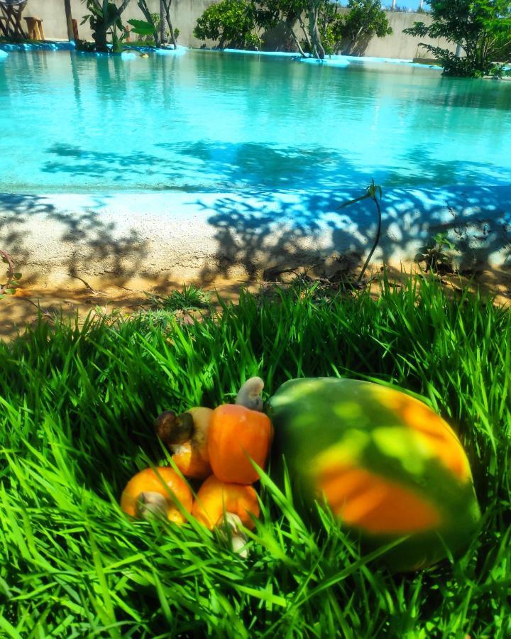 Anacardium Otel Canoa Quebrada Dış mekan fotoğraf